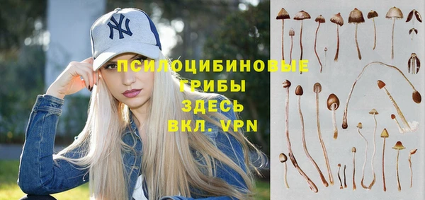 apvp Верхний Тагил