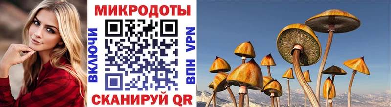 Галлюциногенные грибы Cubensis  Курск 